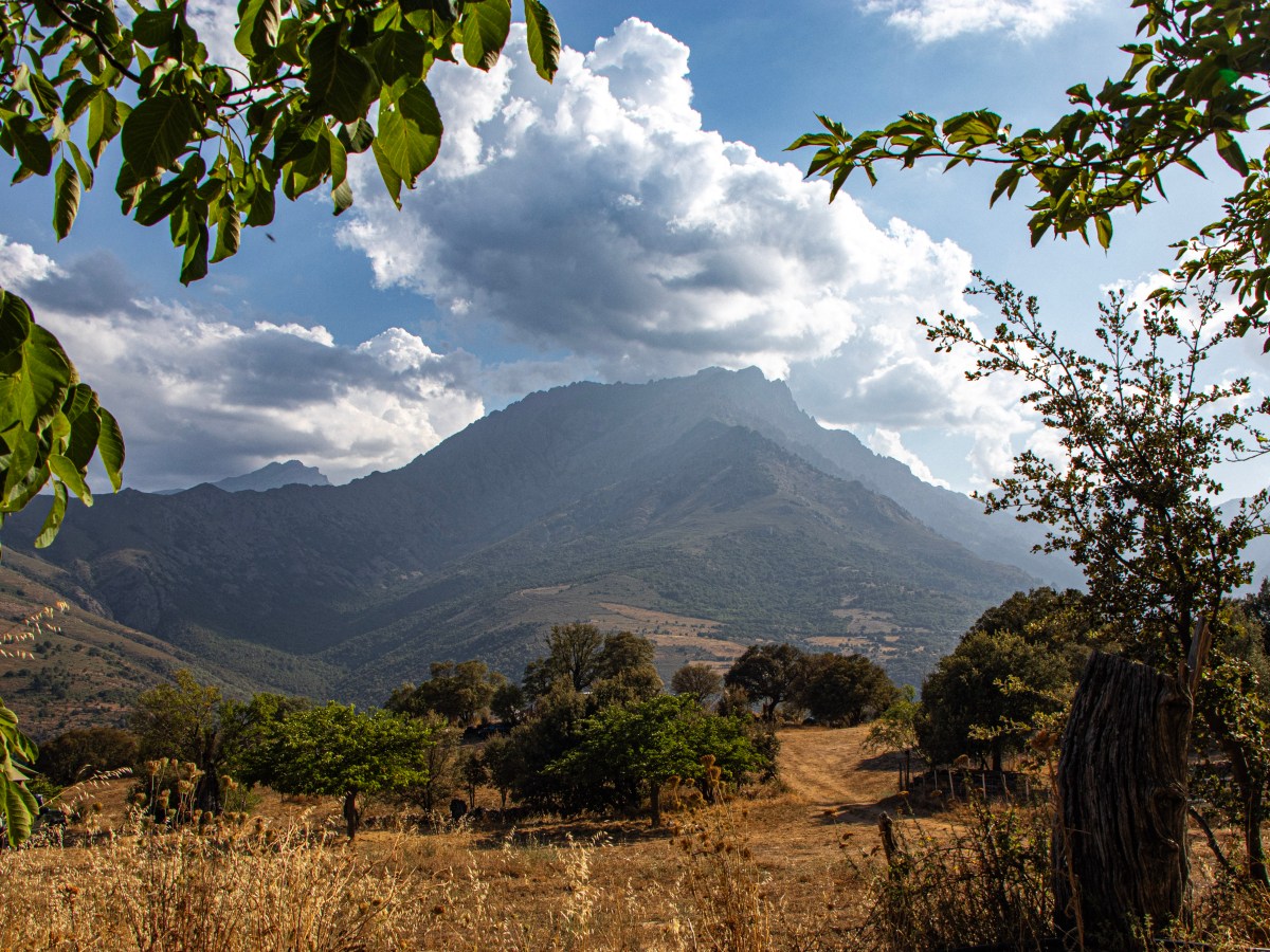 Vanlife Abenteuer: Familien-Rundreise durch Bayern, Italien und&nbsp;Korsika