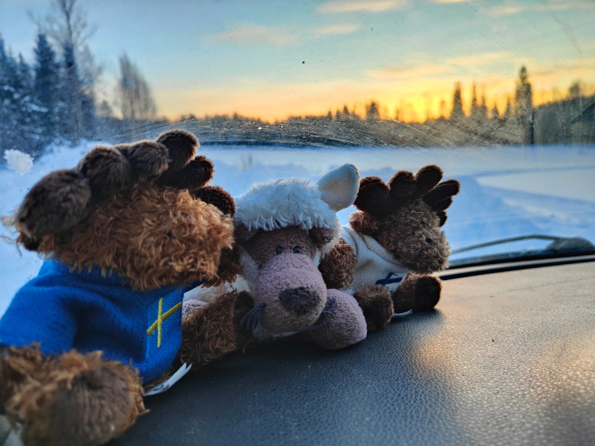 Weihnachten am Polarkreis – Eine magische&nbsp;Winterreise