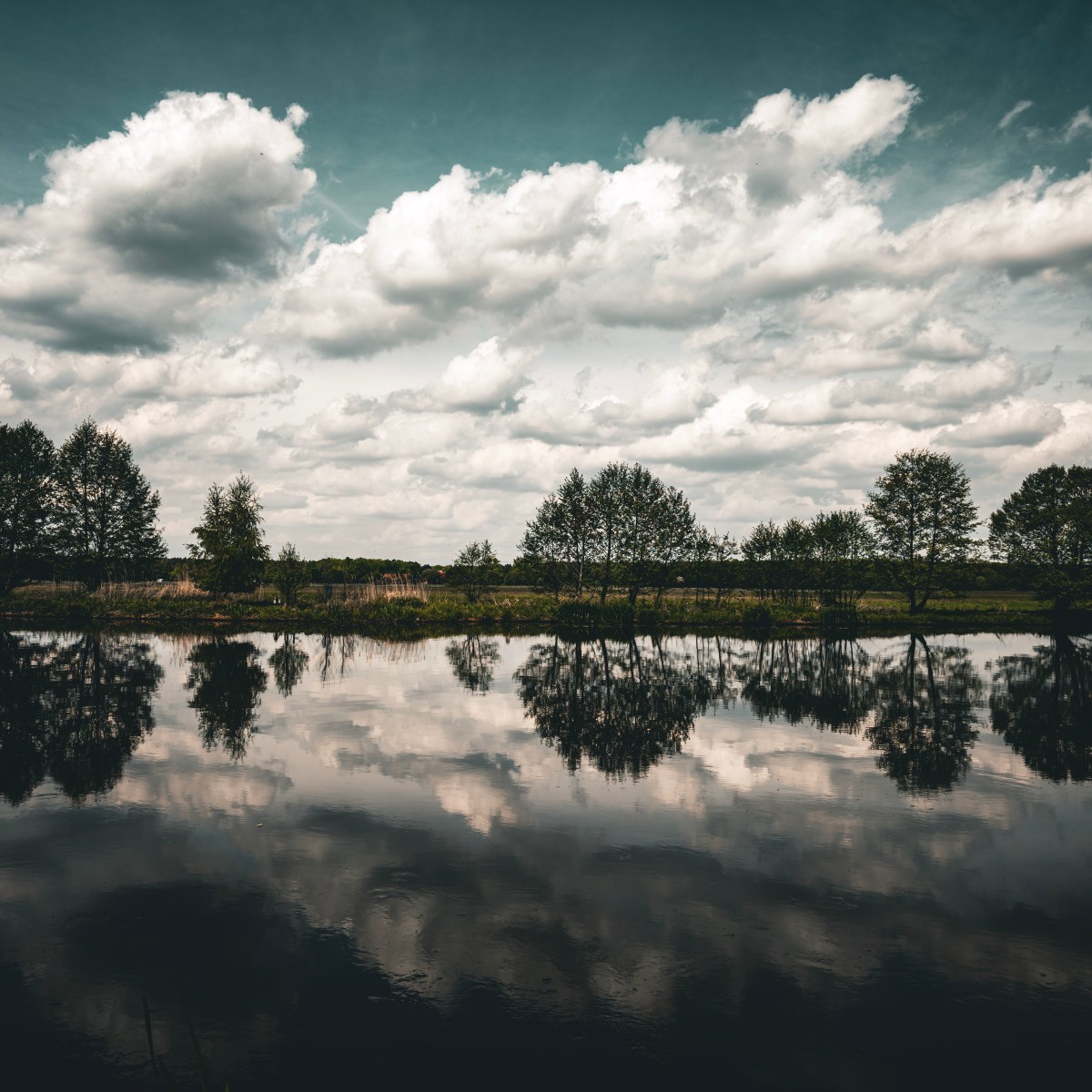 Wenn der Himmel und die Erde sich spiegeln.&nbsp;🌲☁️✨