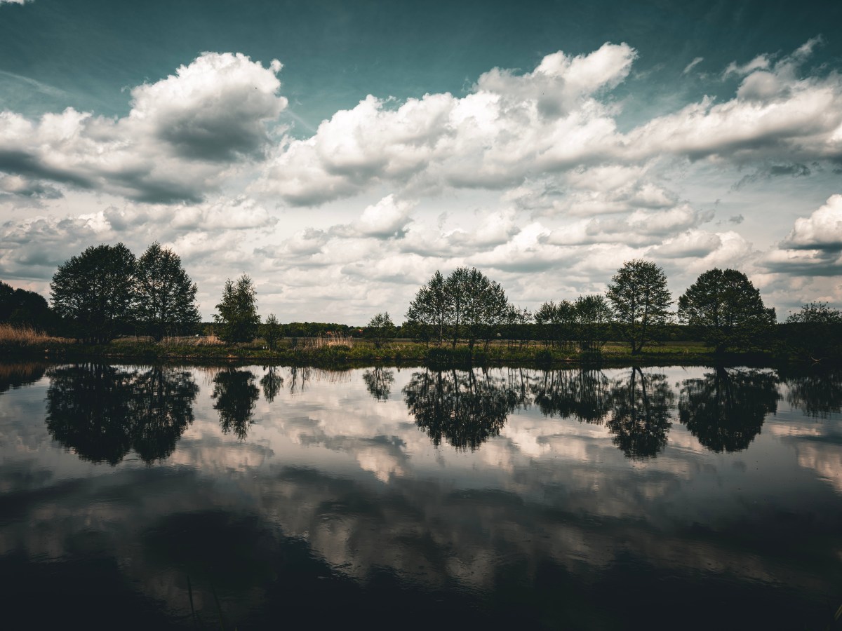 Wenn der Himmel und die Erde sich spiegeln.&nbsp;🌲☁️✨