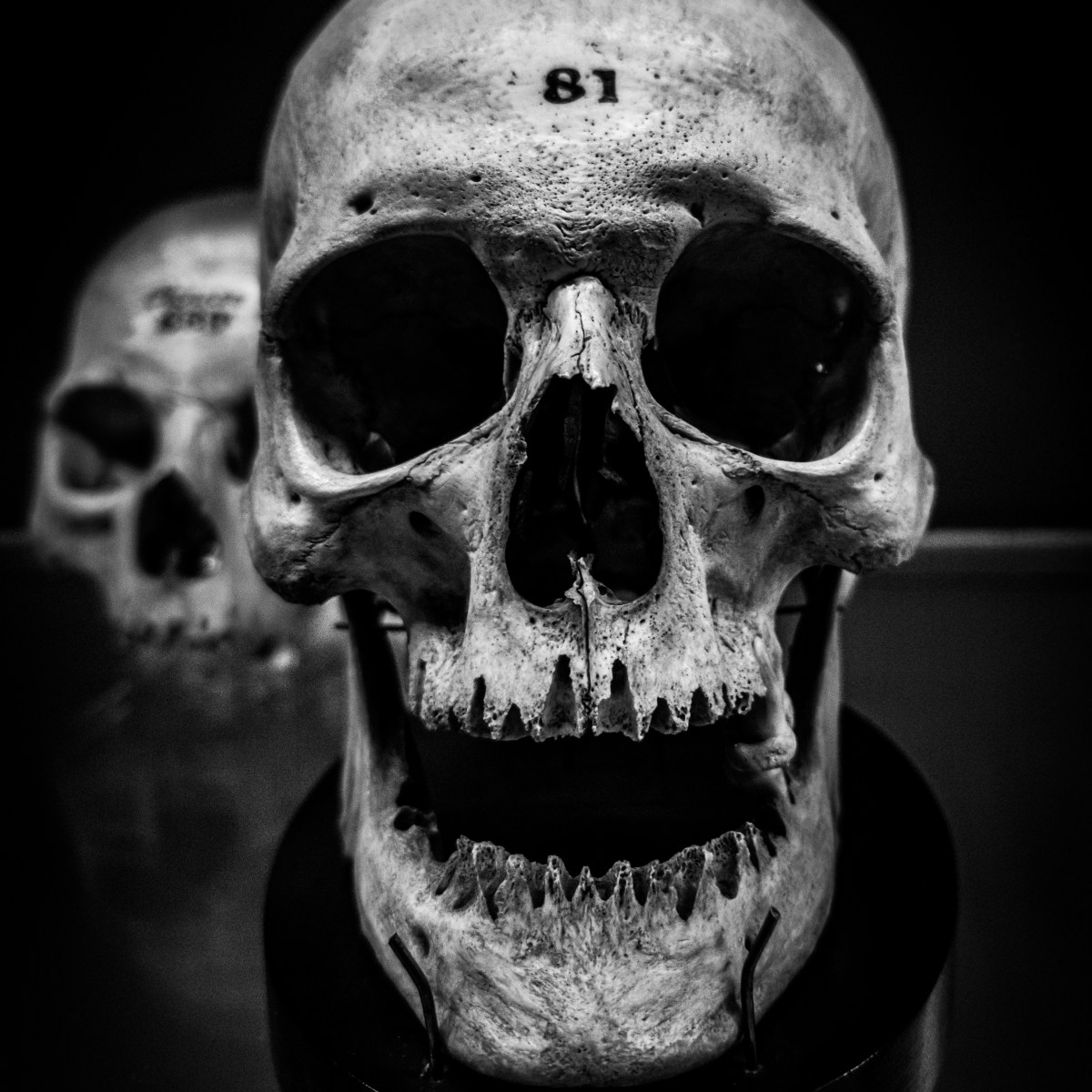 Hüter der ewigen Stille&nbsp;💀🖤